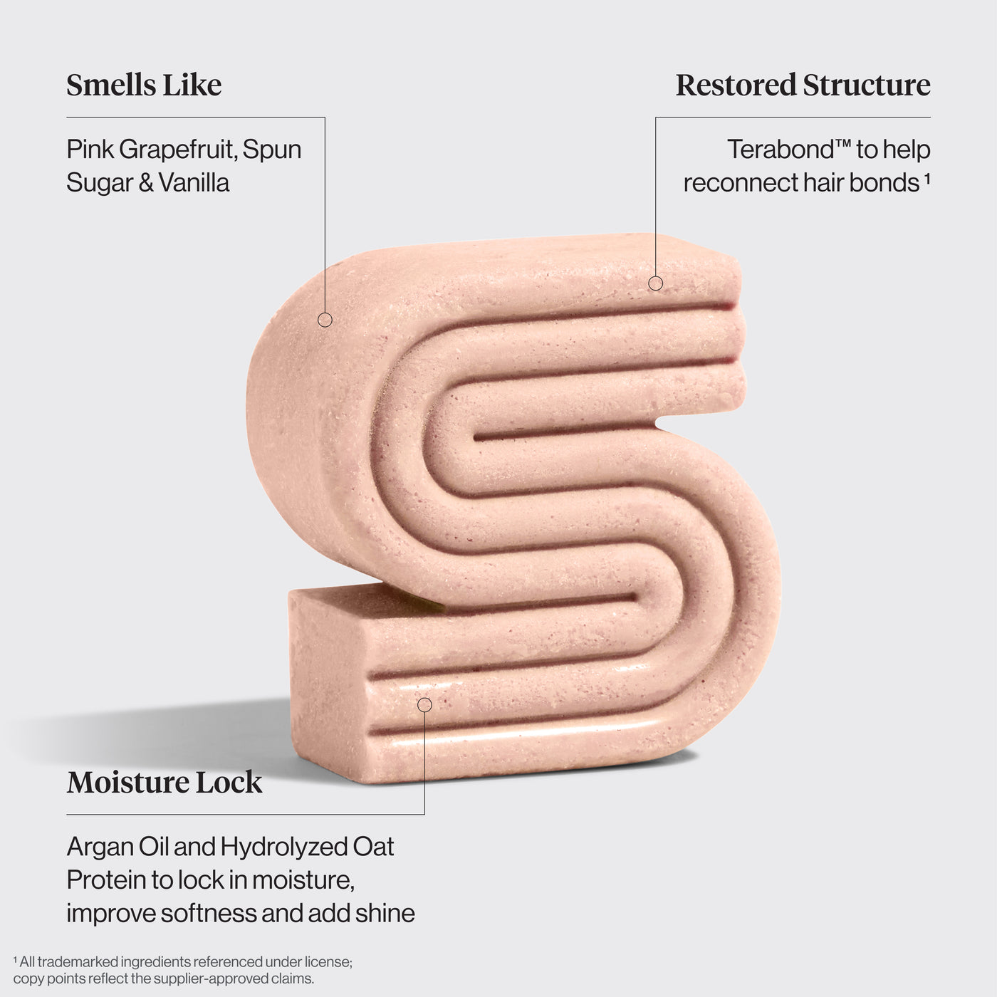 Combo de Champú y Acondicionador de aceite de argán